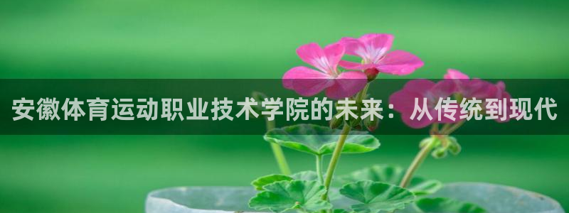 MK体育官网下载平台假的吗是真的吗吗:安徽体育运动职业技术学